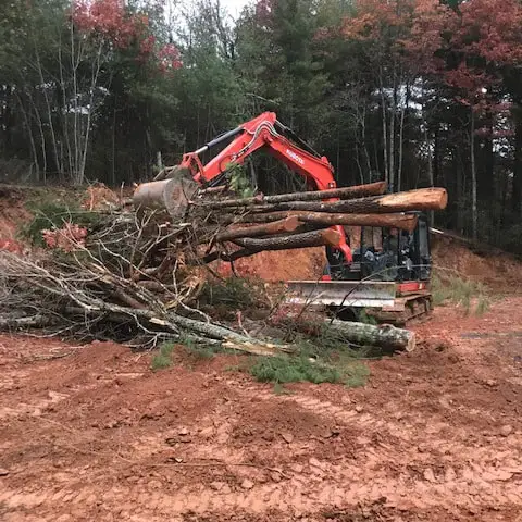 Land Clearing