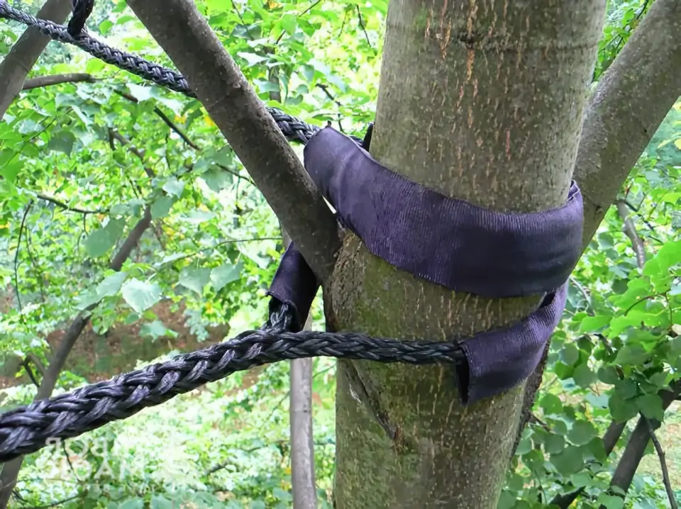 Tree Cabling & Bracing