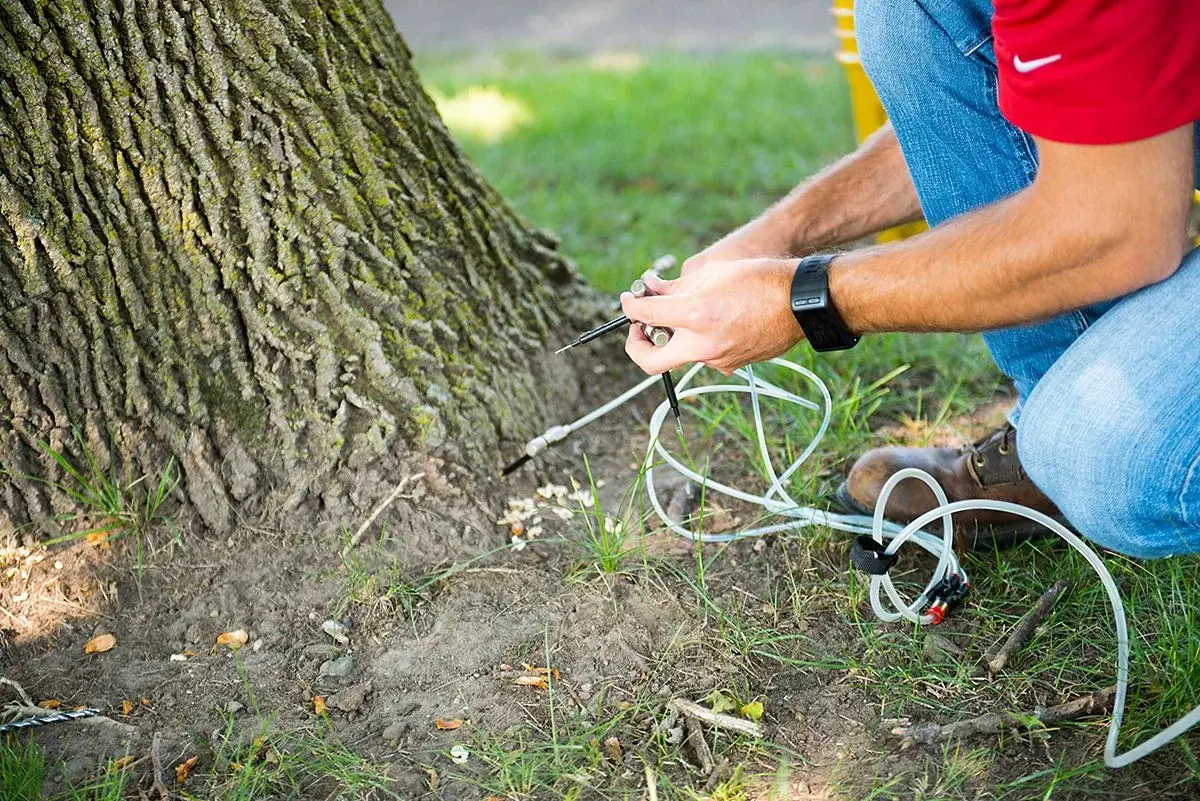 Tree Fertilization