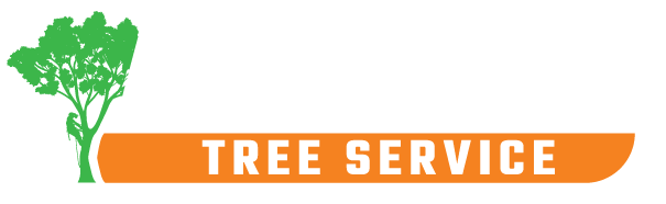 Florence Tree Experts